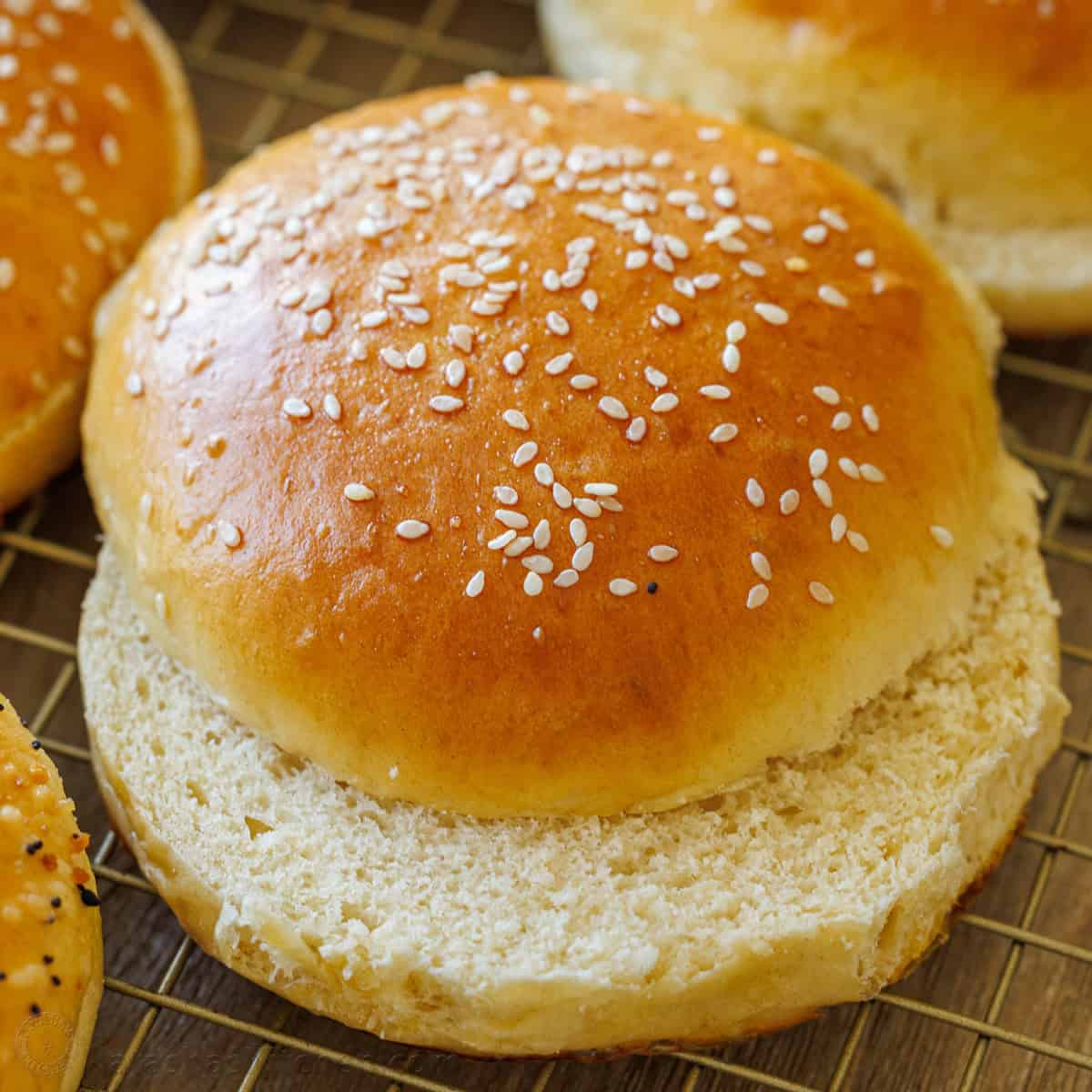 Burger Buns