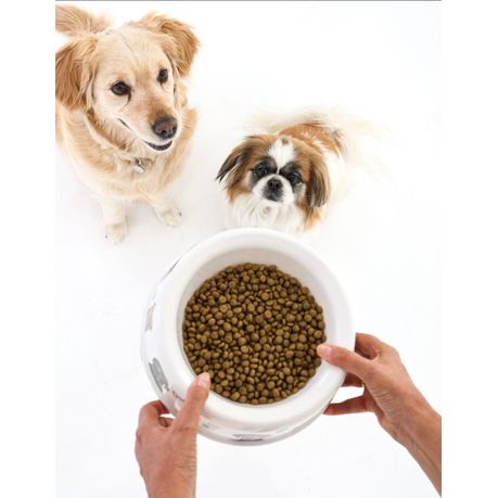 VegaPro Pet - Vegan Dog Food