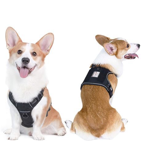 Dog Leash And Harness - No Pull Tactical Dog Harness + SA Patch + Leash