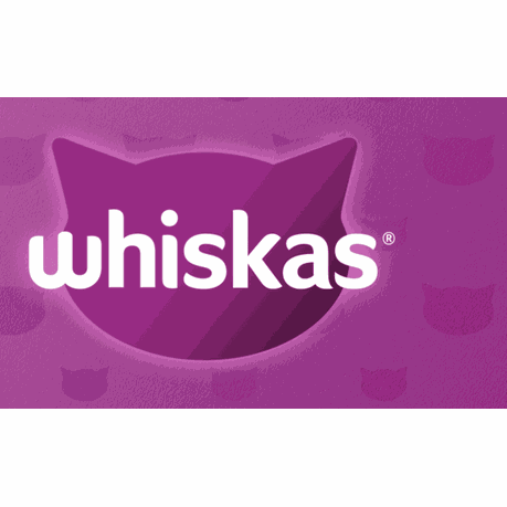 Whiskas Dry Adult Cat Food Chicken 900g